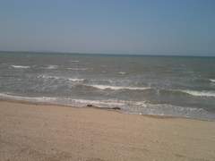 바다가 보고 싶다.