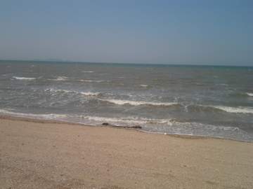 바다가 보고 싶다.