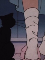 하이큐 드림- 수학여행