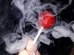 [택지견푸]집이없어