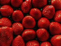 딸기 부자가 된 사연