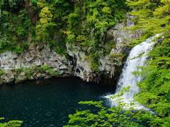 내가 만든 미친놈들 - 42