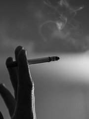 네가 내쉰 숨들을 내가 다 들이마시고 싶어 