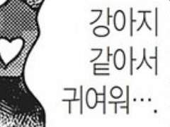 내선지미 내지 마세요