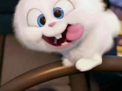 문제적 가이드_15