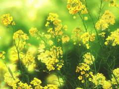 [규부] 내가 사랑한 K 에게