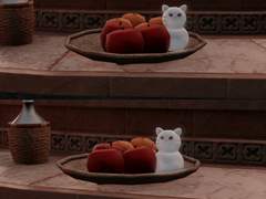 2021 별빛축제(3)