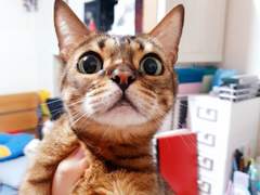 2020~2022 일상 위주 랜덤 쿠키