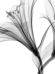 내가 잘 떠나기 위해 할 것들