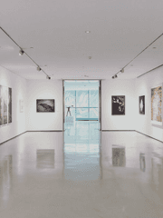 전시,연극,공연 관람