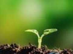 공적인 결정의 생명은 '공정'이다