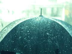 [ 도리벤 ] 마이키와 드림주