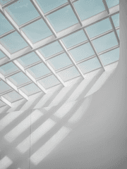 고등학교 2학년