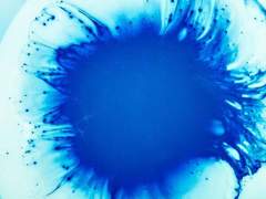 예외를 사랑하는