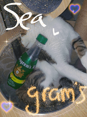 고죠유지 선후배 