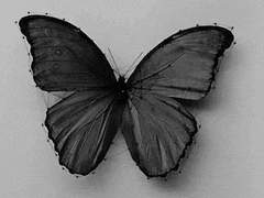 𝓑𝓵𝓸𝓸𝓭 𝓖𝓾𝓲𝓭𝓮 세계관