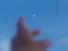 푸른 바다를 좆는 아이,