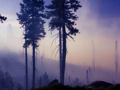 [바니타스] 약점 (with. 메이린)