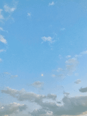 무가치한 생명을 위하여