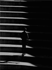 식인이 허용된 세계