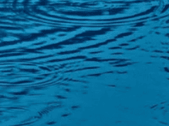 [ 리플 로샨 셀레브리티 / 7학년 / 슬리데린 / 순혈 ]