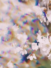 눈앞이 컬러풀!