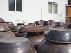 [공모전] 제2회 전국 황토현 시(詩)문학상 공모전