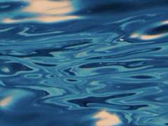 내 못 다한 이야기를 너에게