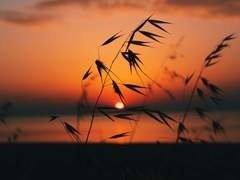 [바니타스] 신화의 재현 (with. 이에리니)