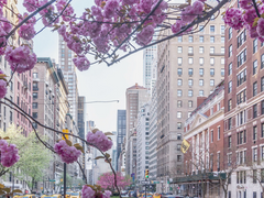 Skul Luv Affair #번외