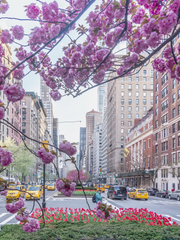 Skul Luv Affair (스쿨 러브 어페어)