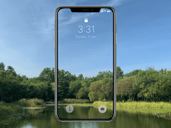 연못에 비친 초록색