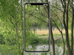 프랑스 나무라 불리는 곳