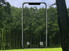 나무 뒤에서 훔쳐본 나무