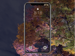 밤에 빛나는 나무