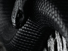 아득히 멀어져 가는