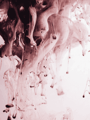 하나의 뿌리, 세계의 나무