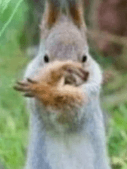 히어로에 어울리지 않습니다.