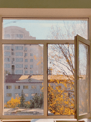 도련님과 발닦개