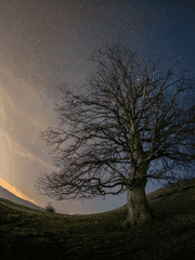 카게히나입니다