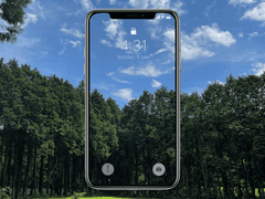 비밀의 숲에서 가장 비밀이 없는 곳