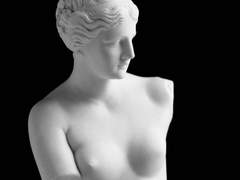 일태 도안 배포