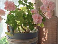 눈으로 말해요...