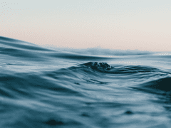 우리 사랑을 해요.