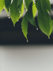 199251: 심심천천적비척