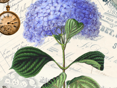 [스탄헤이] 이르게 찾아온 모기