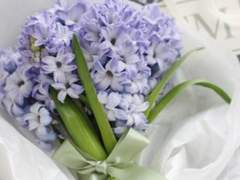 HΛṖṖY ______ DΛY