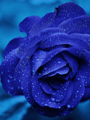 [BL] 심장에서 치는 파도