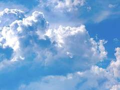 夏の王子様と。1