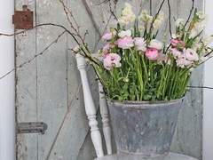 의자의 발견/이도은